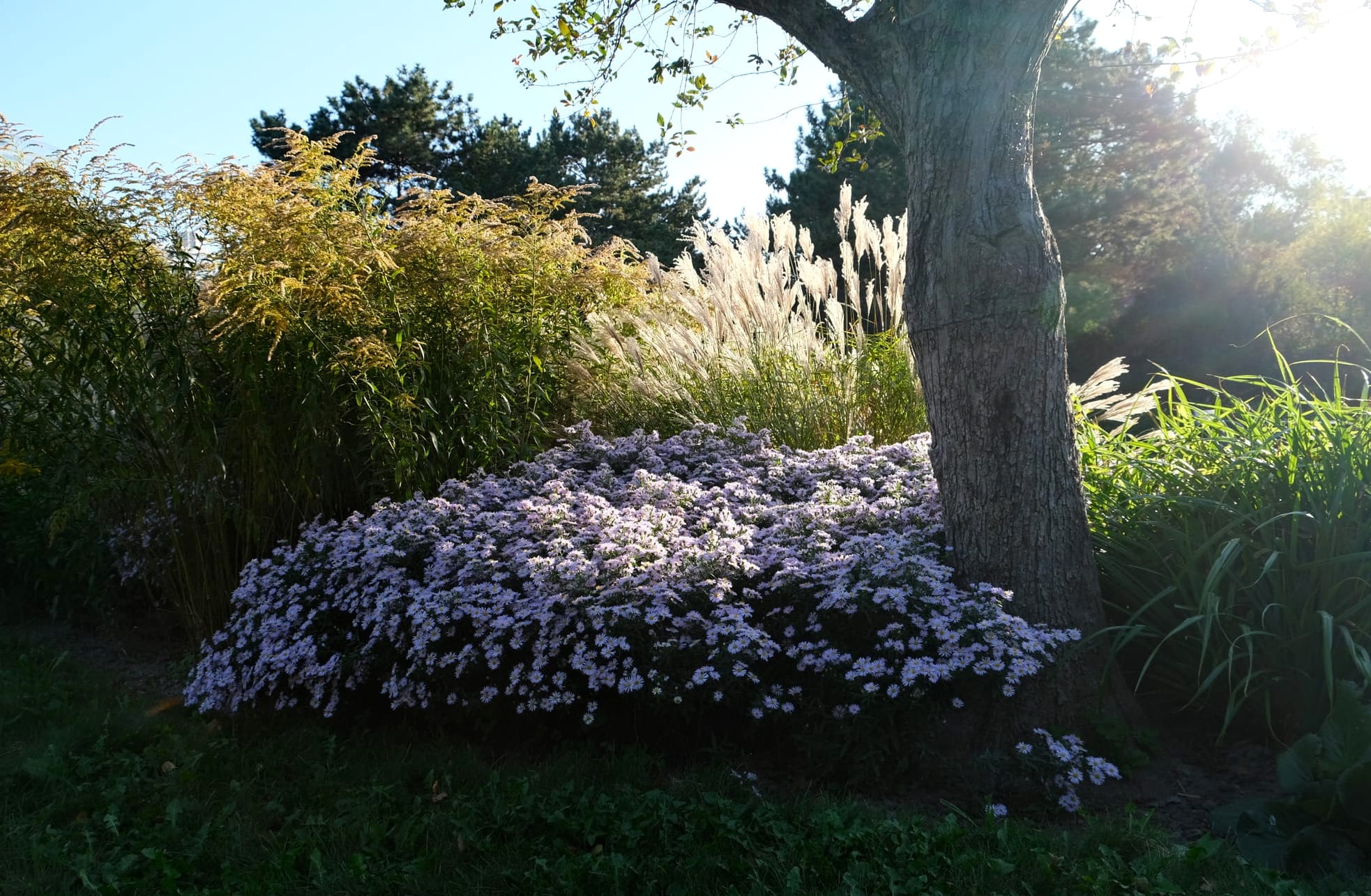 Garden bed with light