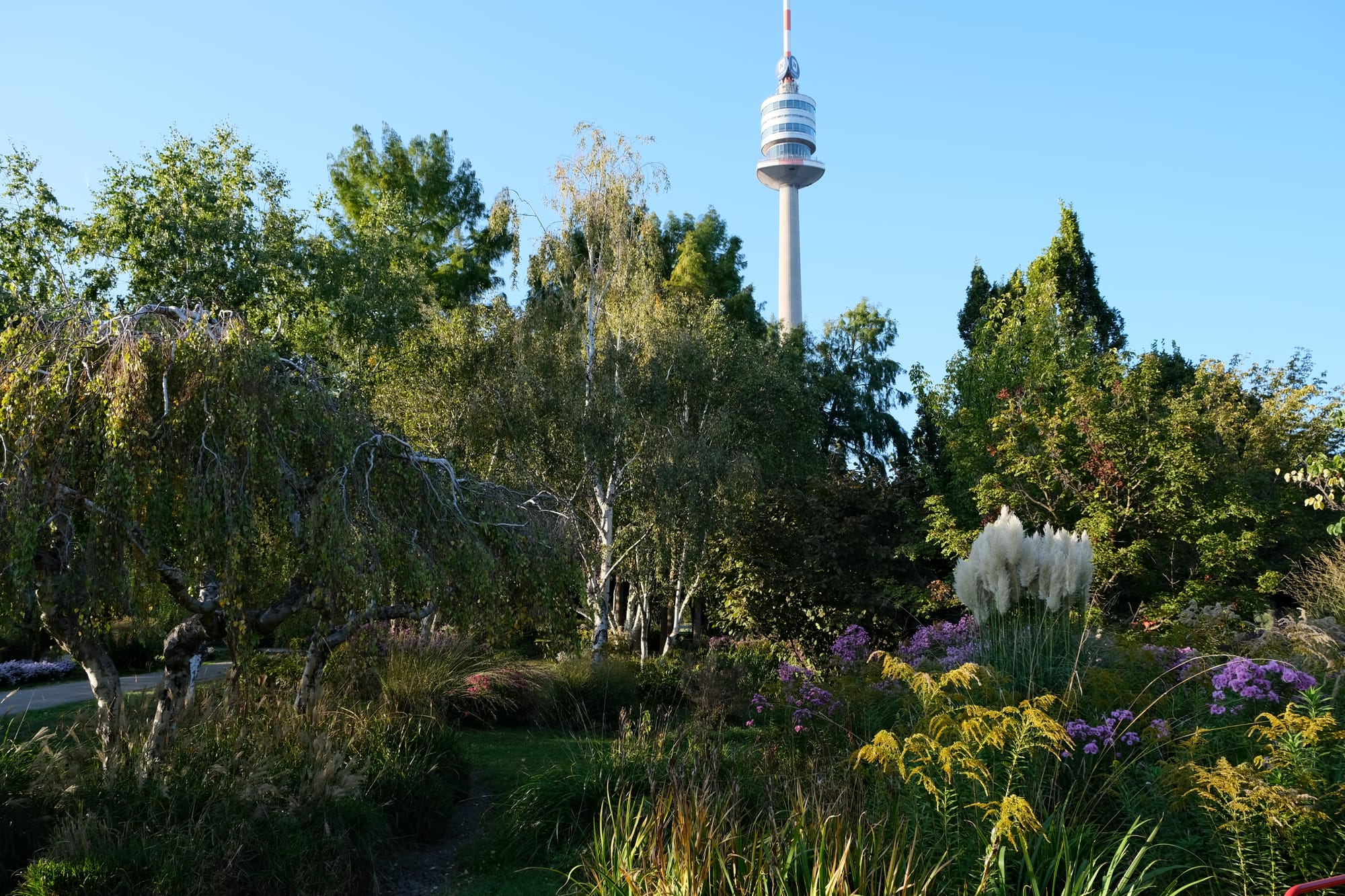 Garden with Danube Tower in the background