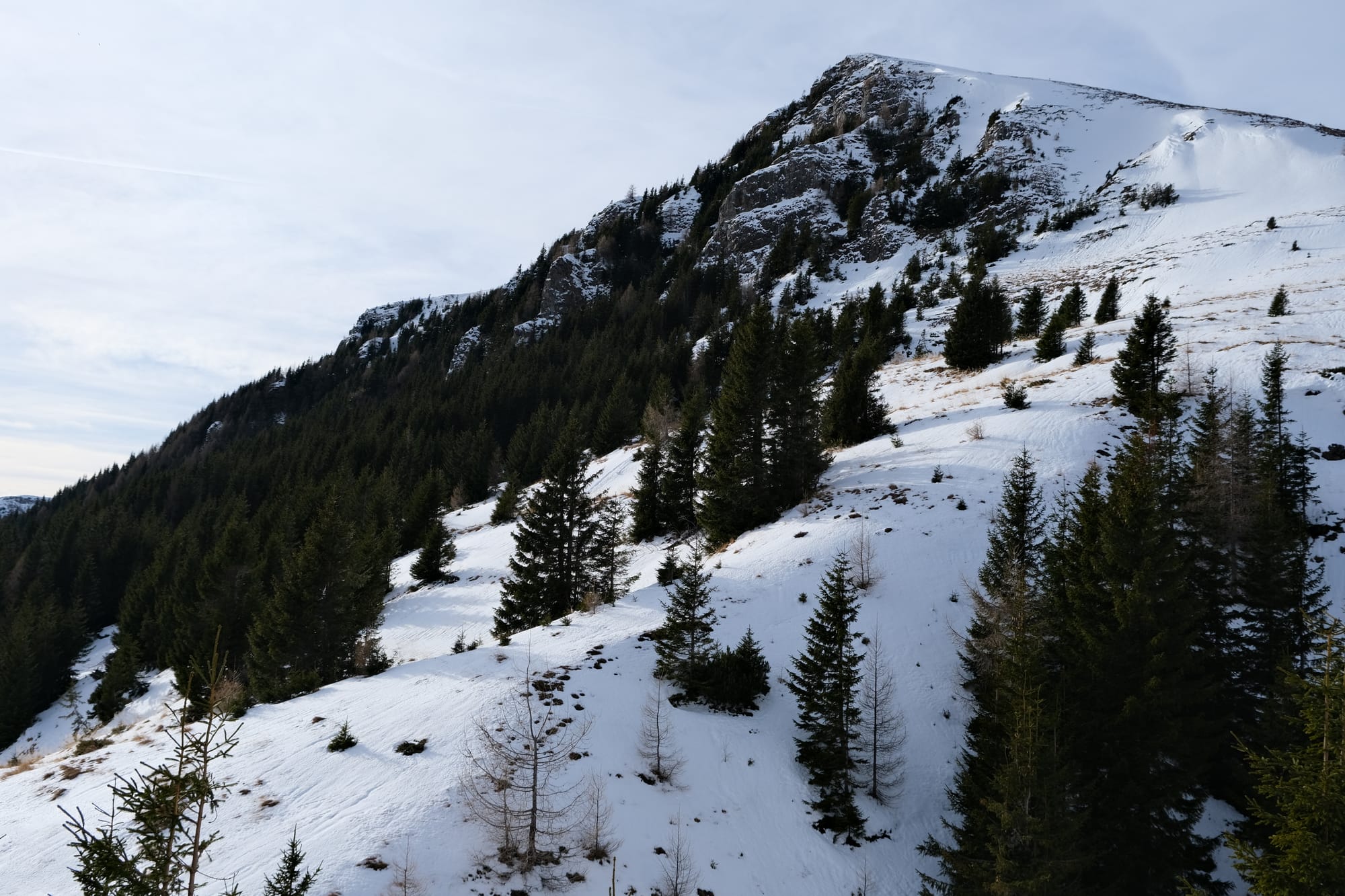 Sinaia Gondola