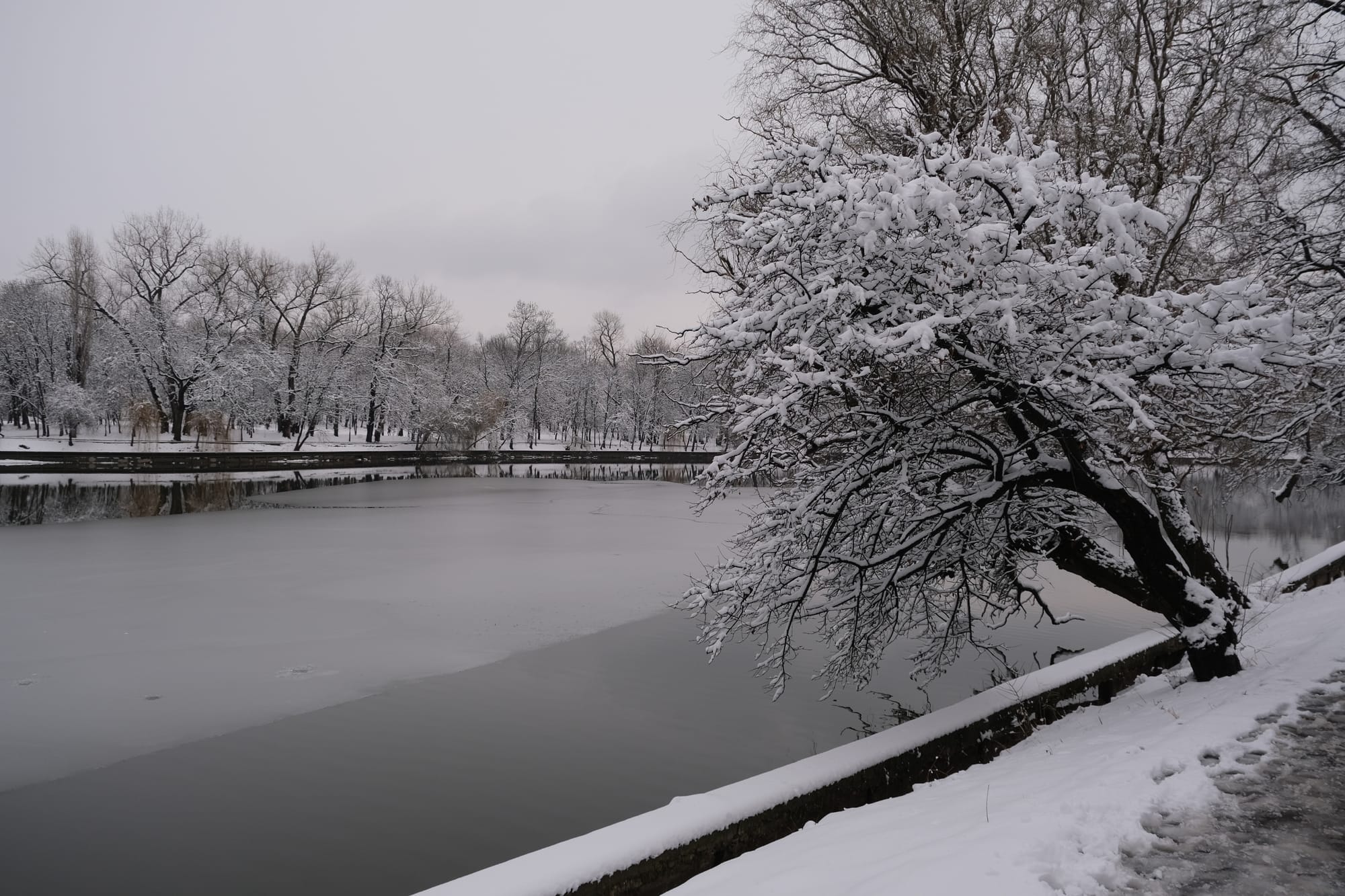 Snowy Park Walk