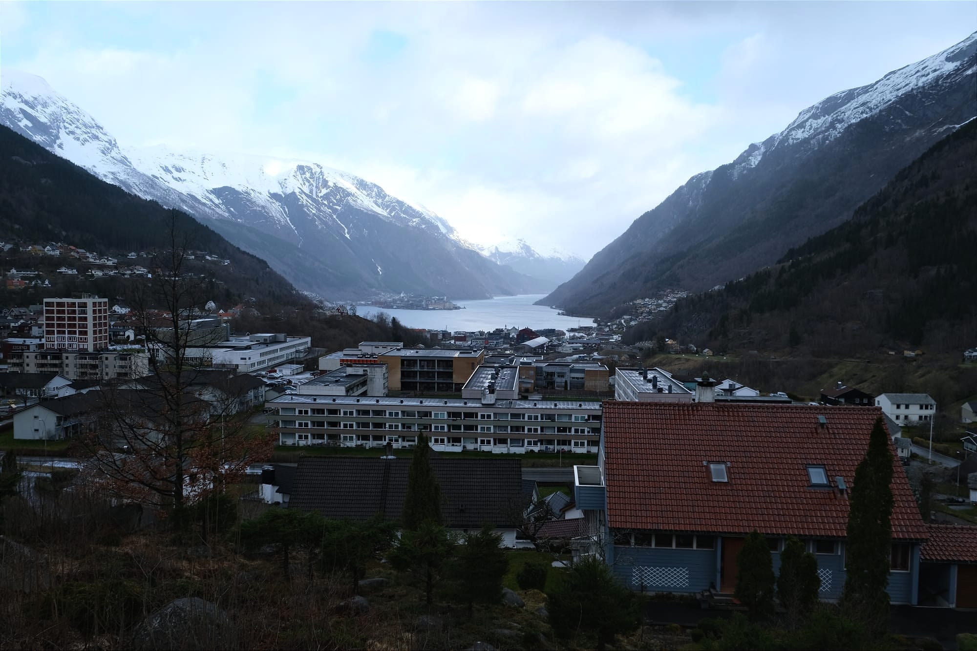 Odda