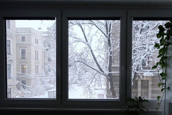 First Proper Snowfall