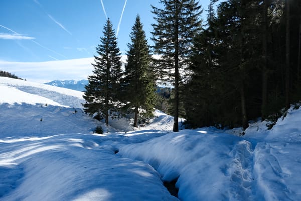 Piatra Craiului Mountains