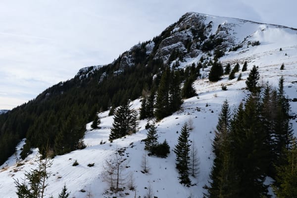 Sinaia Gondola
